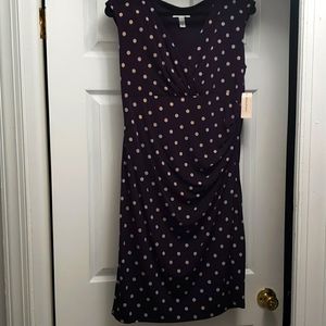 NWT Dressbarn Purple Polka Dot Dress Size 12